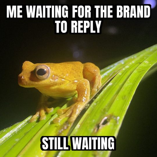 Staring frog meme: Me waiting for the brand to reply / Still waiting