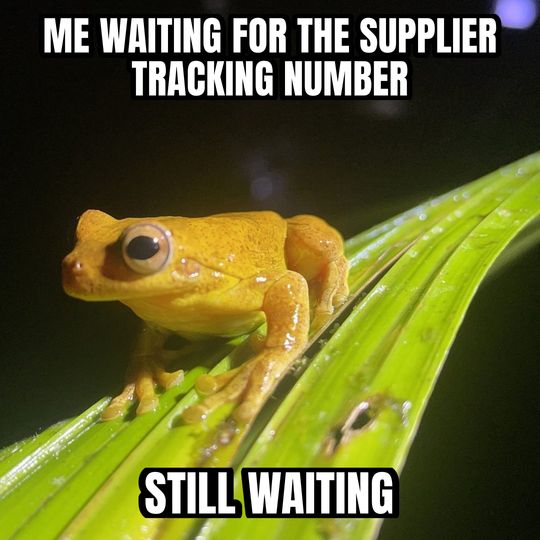 Staring frog meme: Me waiting for the supplier tracking number / Still waiting