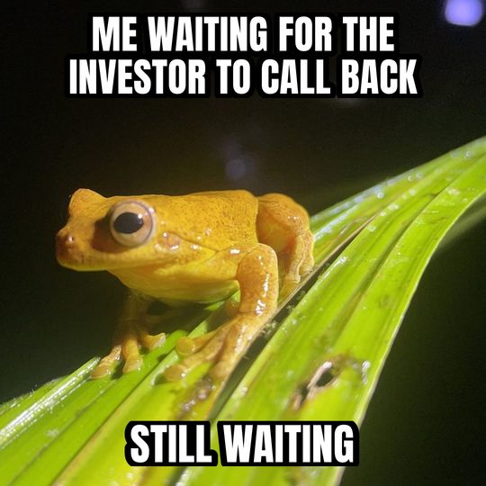 Staring frog meme: Me waiting for the investor to call back / Still waiting