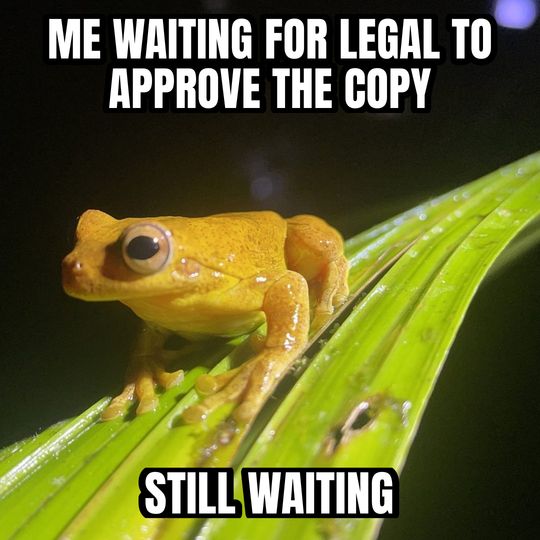 Staring frog meme: Me waiting for legal to approve the copy / Still waiting