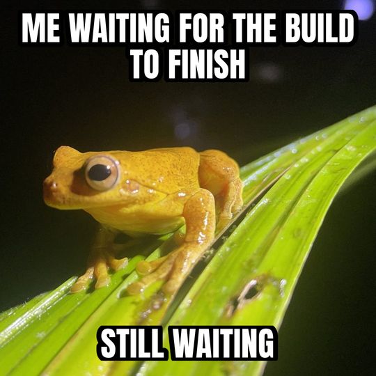 Staring frog meme: Me waiting for the build to finish / Still waiting