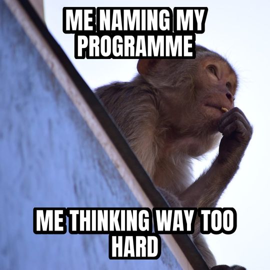 Thinking monkey meme: Me naming my programme / Me thinking way too hard