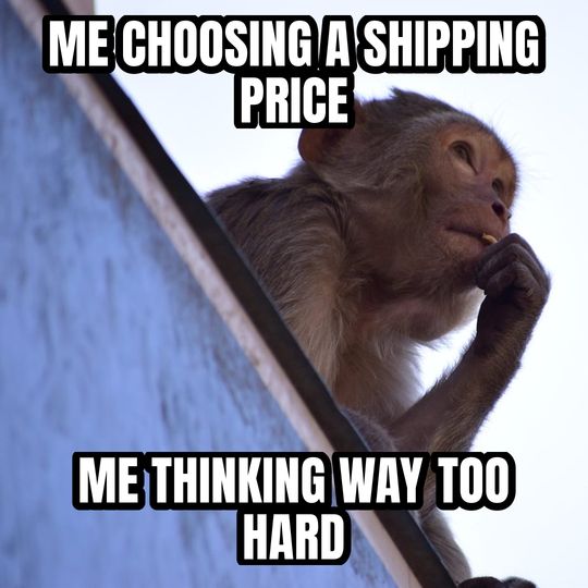 Thinking monkey meme: Me choosing a shipping price / Me thinking way too hard