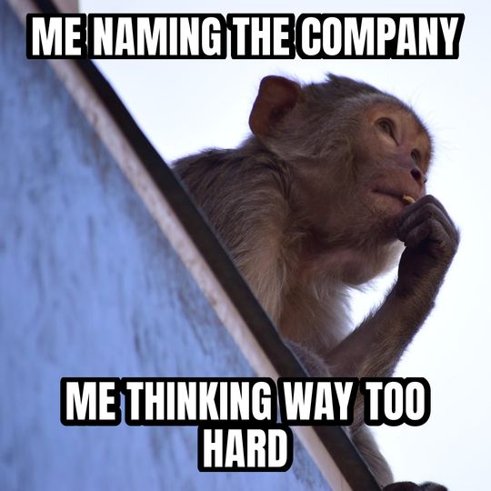 Thinking monkey meme: Me naming the company / Me thinking way too hard