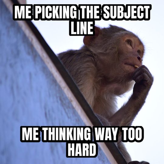 Thinking monkey meme: Me picking the subject line / Me thinking way too hard