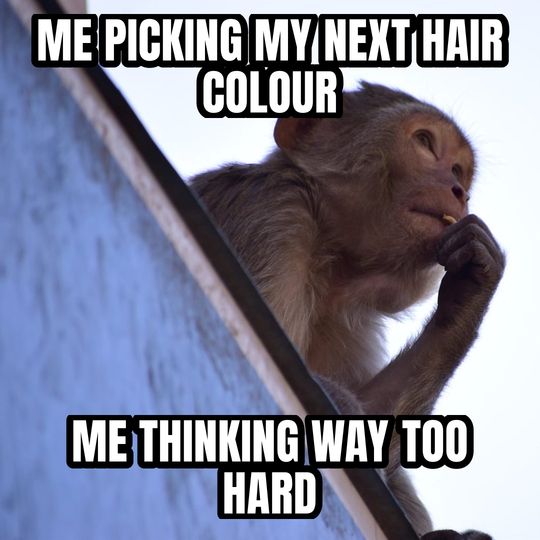 Thinking monkey meme: Me picking my next hair colour / Me thinking way too hard