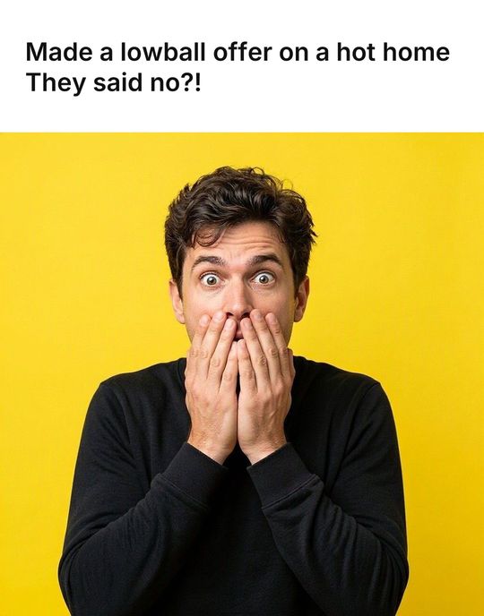 Surprised Face meme: Made a lowball offer on a hot home / They said no?!