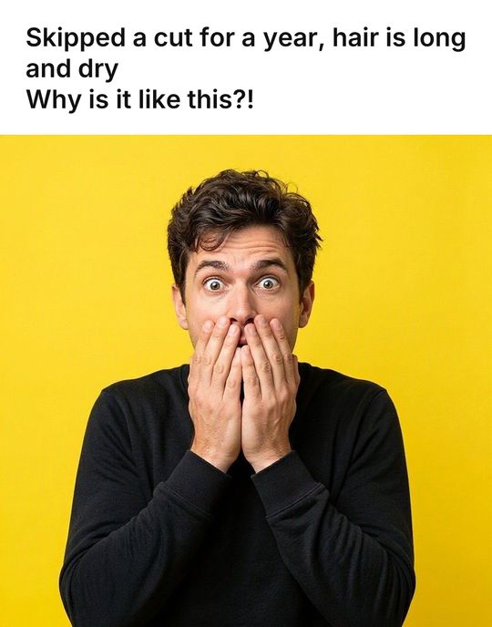 Surprised Face meme: Skipped a cut for a year, hair is long and dry / Why is it like this?!