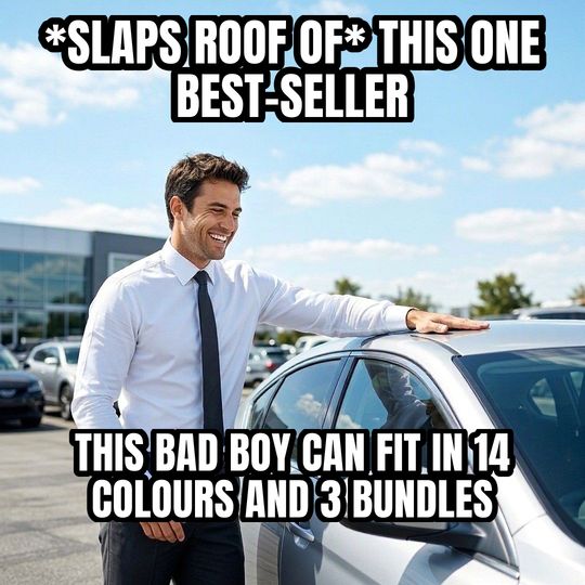 Car Salesman Slaps Roof meme: *slaps roof of* this one best-seller / This bad boy can fit in 14 colours and 3 bundles
