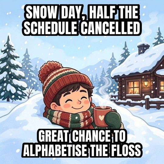 Buried in Snow meme: Snow day, half the schedule cancelled / Great chance to alphabetise the floss
