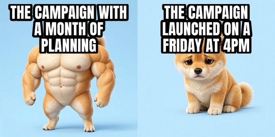 Buff Doge vs Cheems meme: The campaign with a month of planning / The campaign launched on a Friday at 4pm