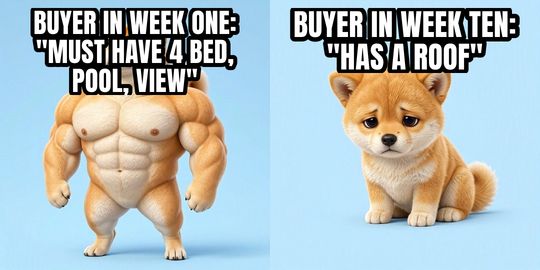 Buff Doge vs Cheems meme: Buyer in week one: "must have 4 bed, pool, view" / Buyer in week ten: "has a roof"